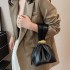 High end, niche and peculiar small bags for women in autumn and winter 2024, new retro pleated mini bucket bag